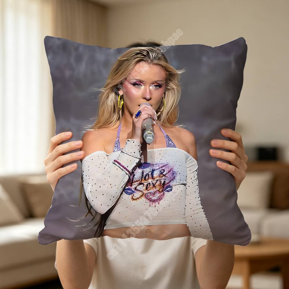 Z-Zara L-Larsson Housse de cou - Zara Home Textiles avis et prix